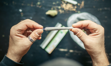 The Best List of Rolling Papers and Blunt Wraps